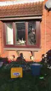 Double glazed window being replaced in New Brighton